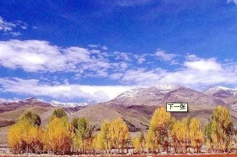 怎样通过月份选择国内旅游地