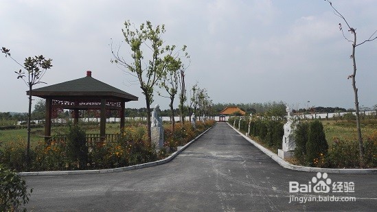 如何挑选性价比高的公墓,选择墓地有什么窍门?