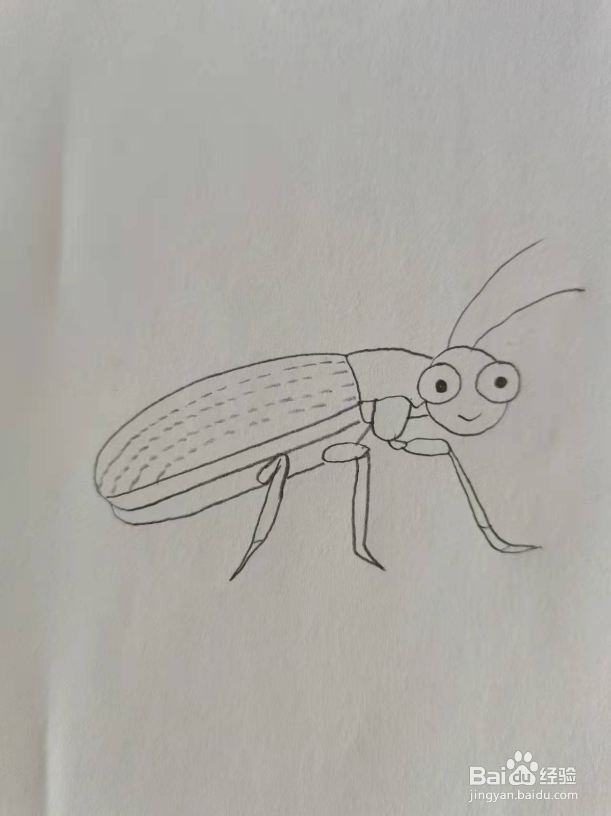 放屁甲虫怎么画