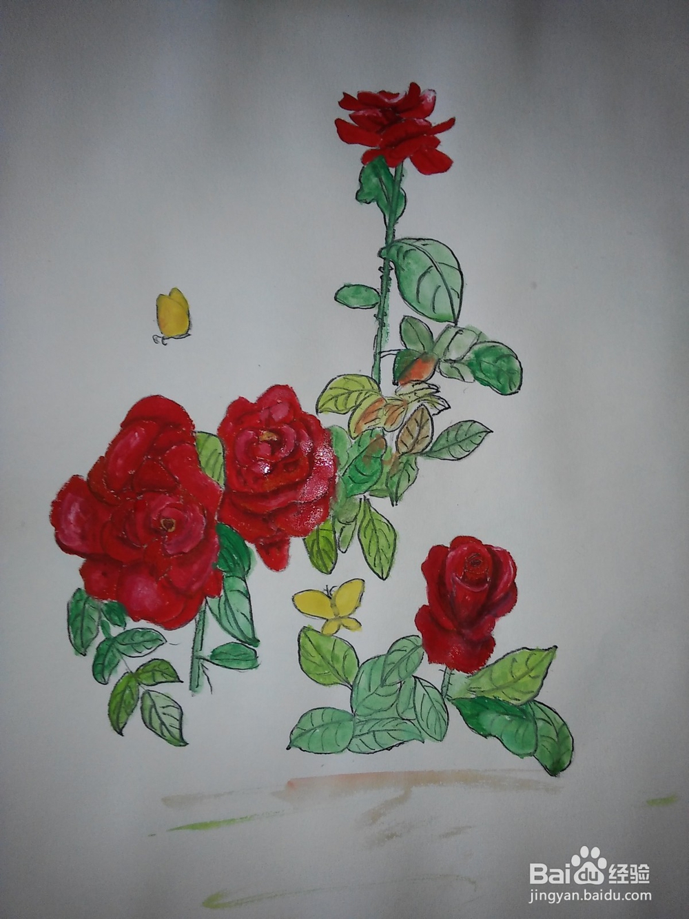 工笔玫瑰花的画法