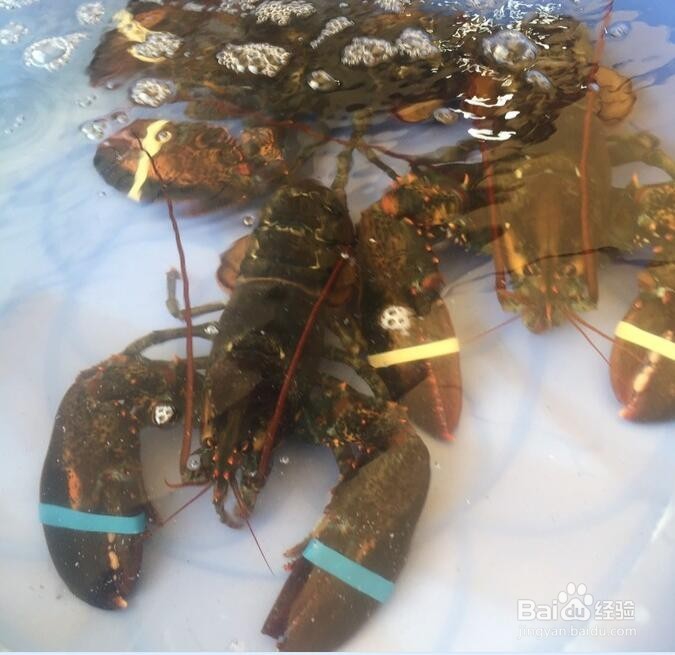 涠洲岛自由行攻略