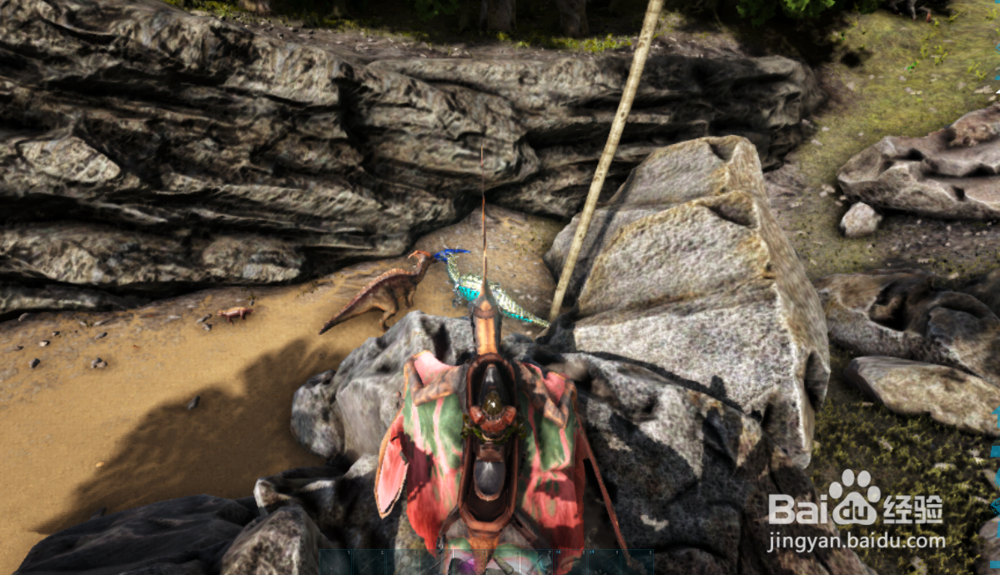 方舟生存进化如何驯服肯氏龙