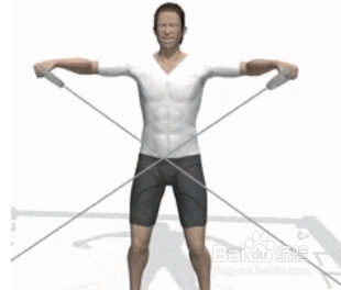 肩部回旋肌怎么锻炼