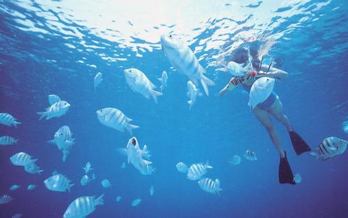 普吉岛旅游之贴心小提示