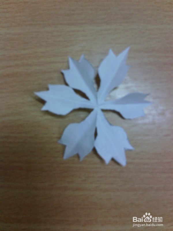 剪纸艺术—怎样剪郁金花?