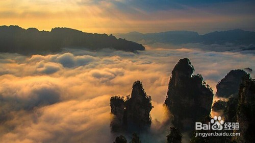 张家界游玩定制,原来大家都是这么玩的!