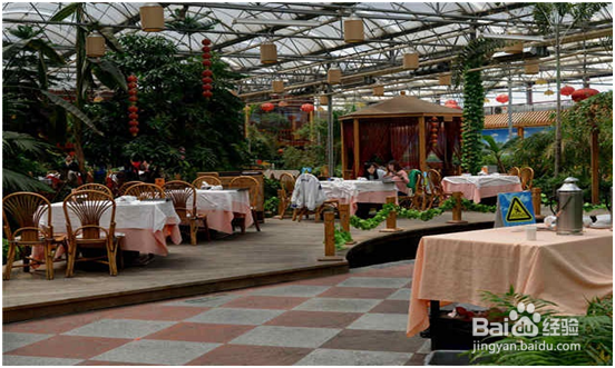 十大带娃必去的童趣餐厅