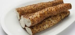 有哪些可食用植物的根、茎