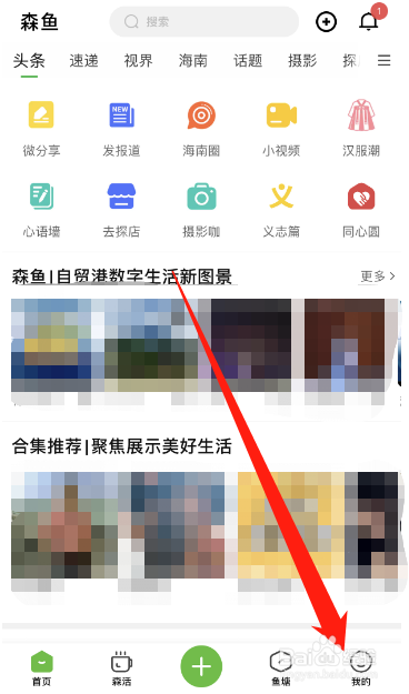 森鱼APP怎么联系客服