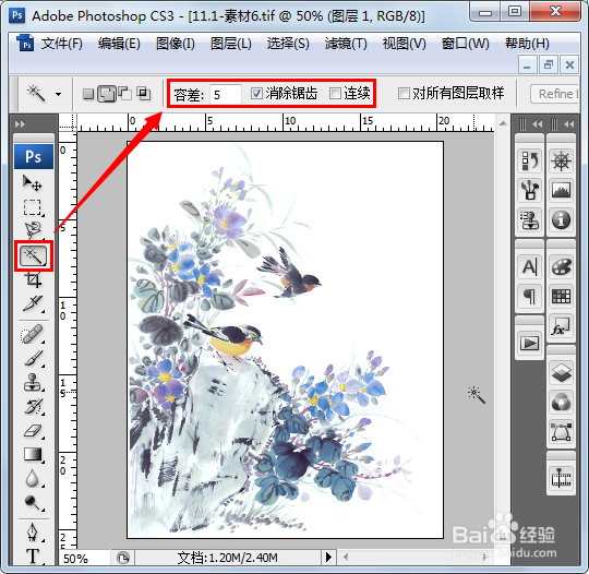 ps抠图：[2]魔棒工具