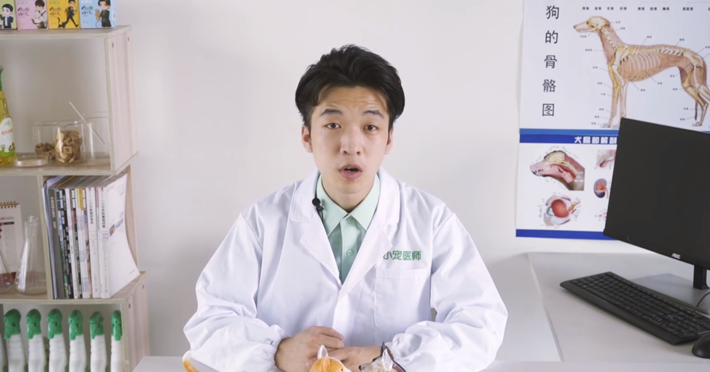 狗狗绝育的利与弊