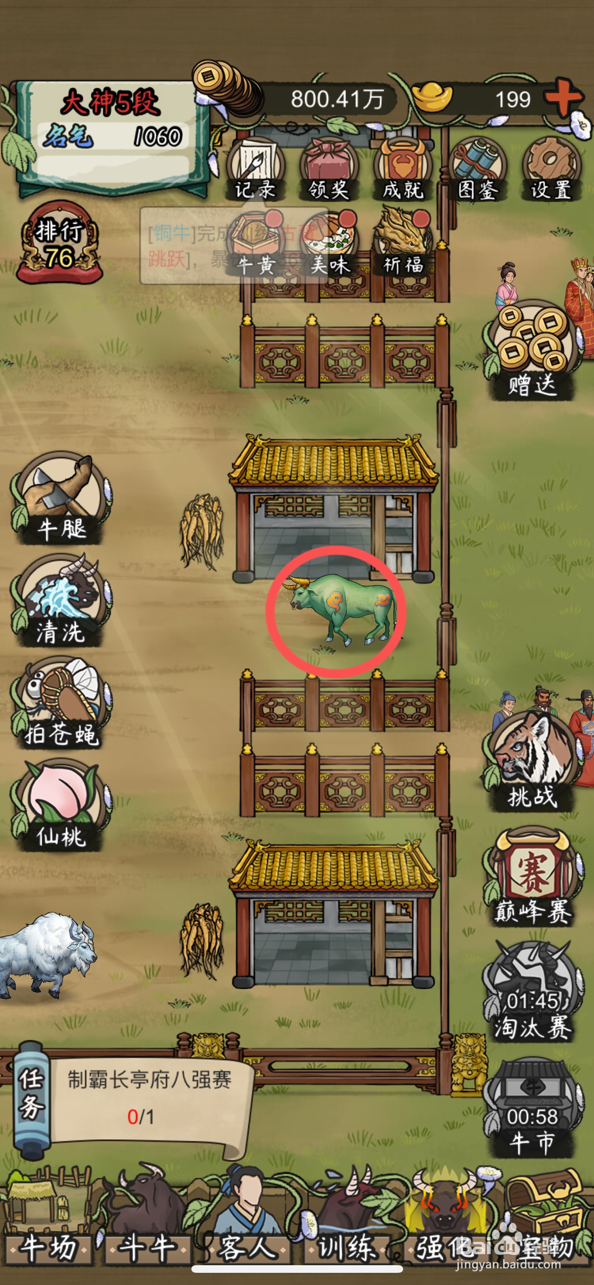 叫我养牛王怎么给牛场买青牛