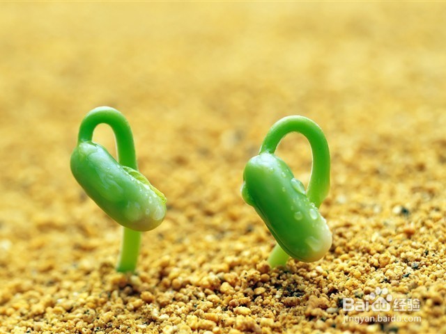 社交恐惧症越来越严重怎么办