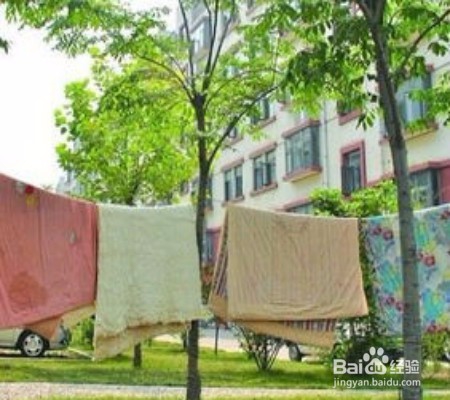 如何除去被子里的螨虫