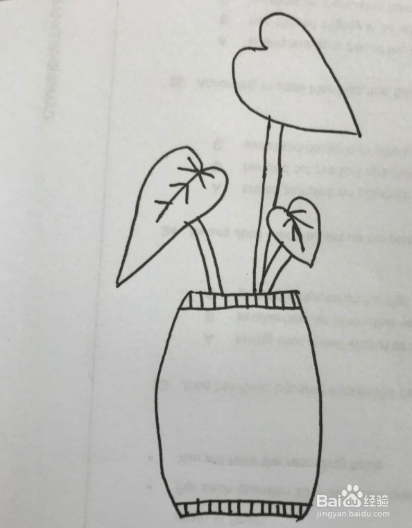 龟背竹简笔画怎么画