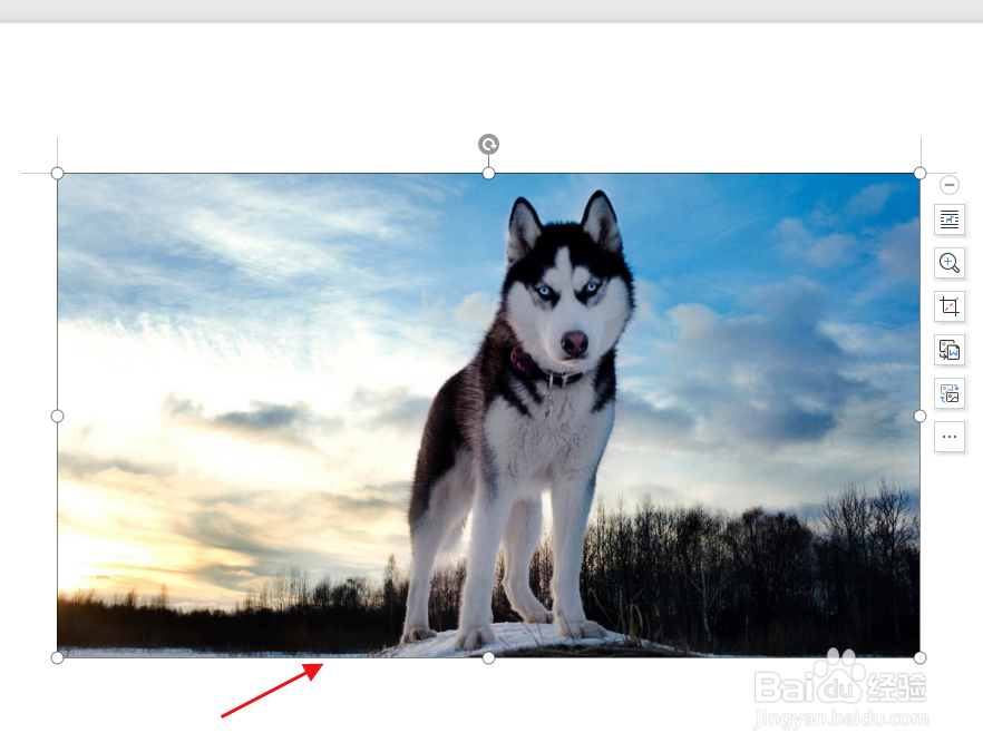 word文档如何裁剪图片大小