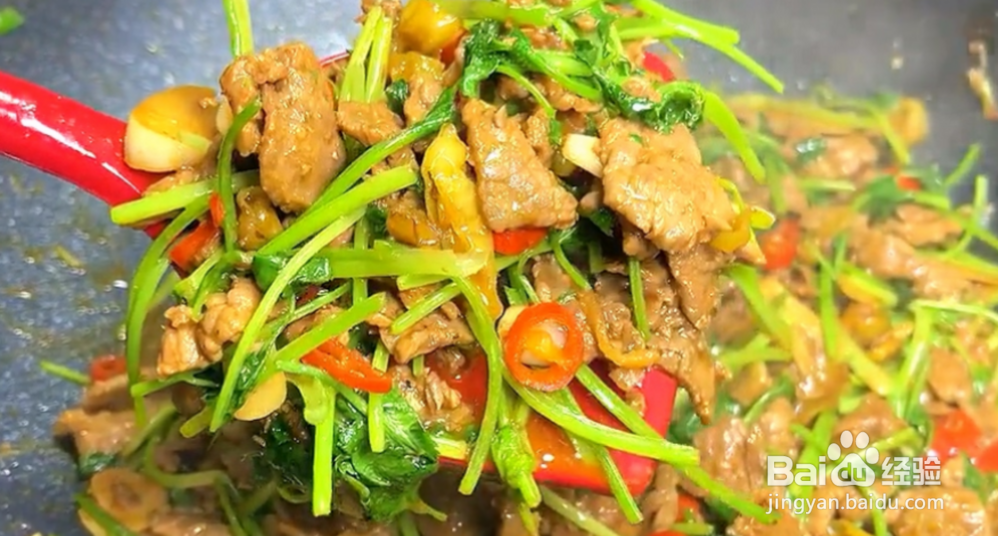 家常菜制作分享：香菜炒牛肉