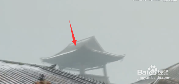 只狼幻廊怎么快速击杀四猴，教你戏耍四猴