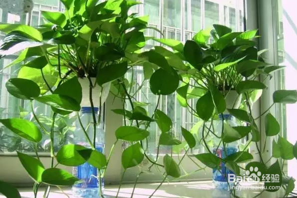 装修污染的危害与解决方法