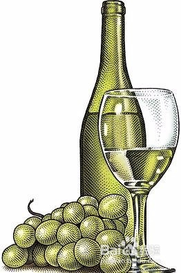 收藏葡萄酒的必备小知识