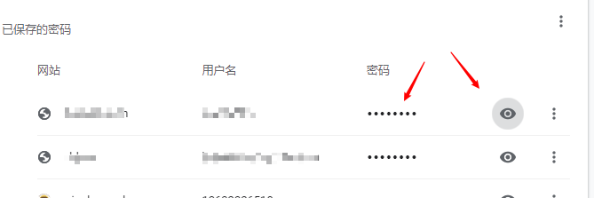 谷歌浏览器如何查看网站账号保存的密码