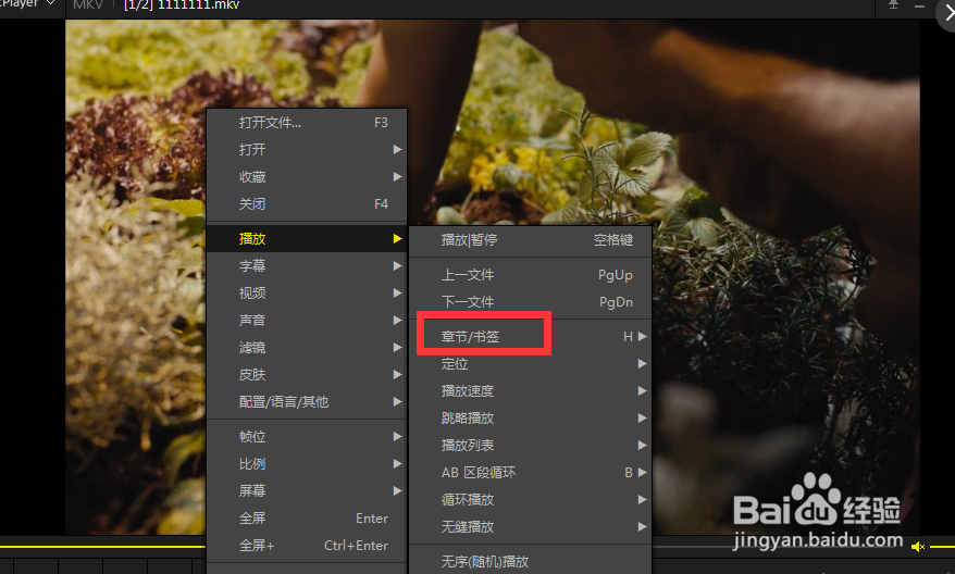 怎么使用完美解码器的书签功能