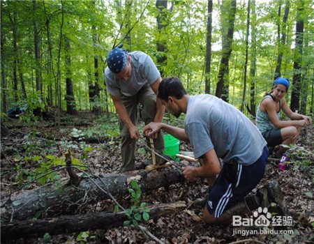 野营如果不带帐篷和睡袋应该怎么办？