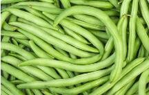 豆角做包子怎样做