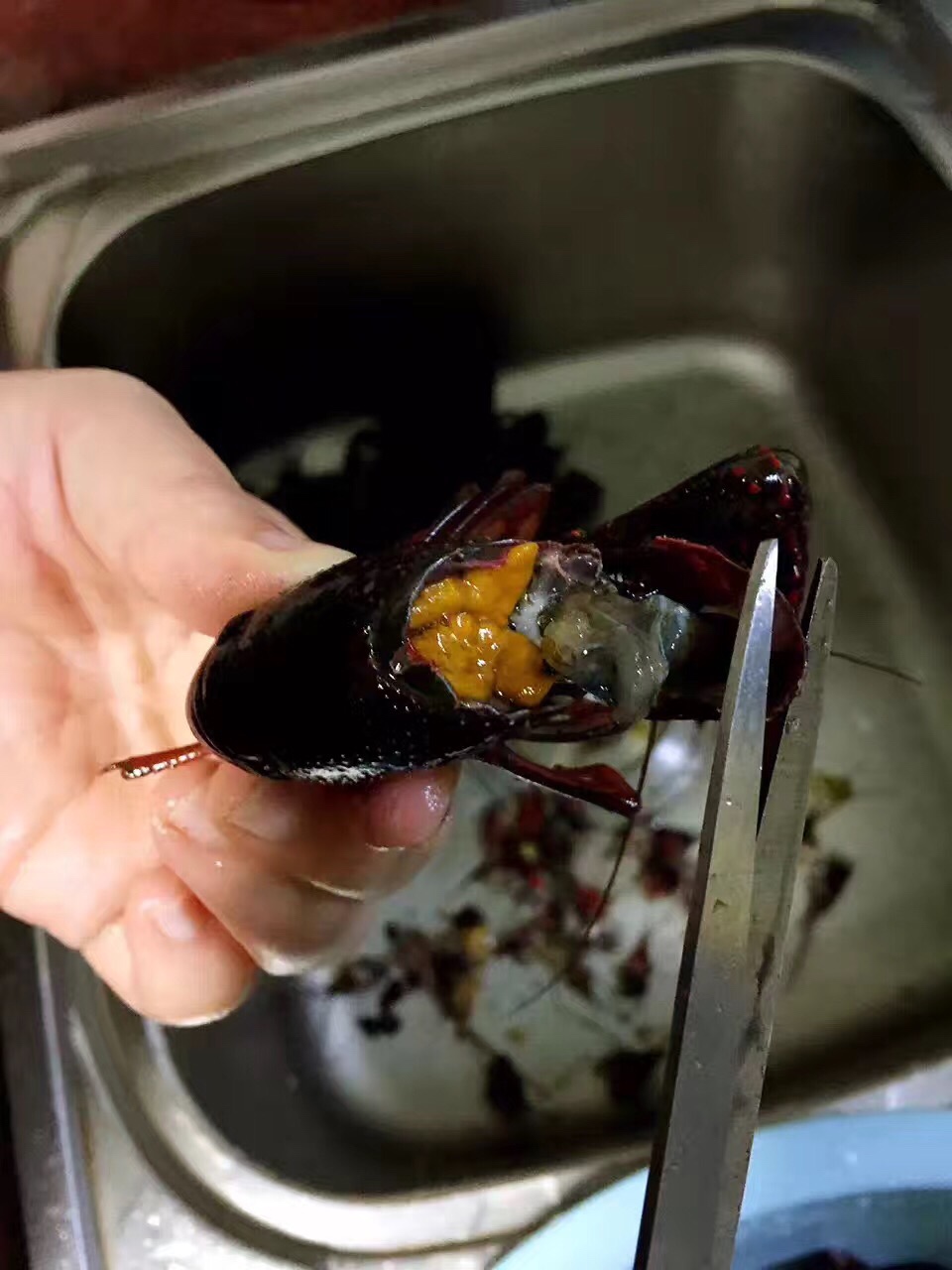 教你怎么处理小龙虾,干净又卫生