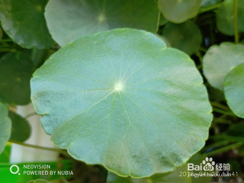 努比亚红魔手机开箱及详细评测