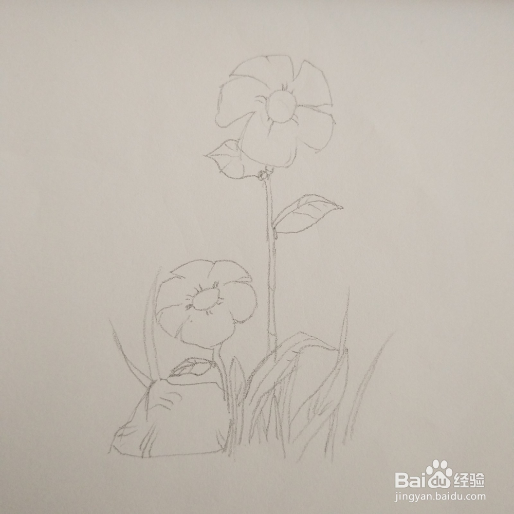 简笔画36:花朵画法