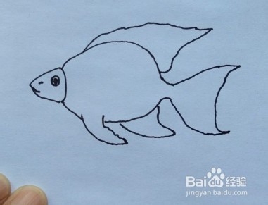 鱼的简笔画怎么画？