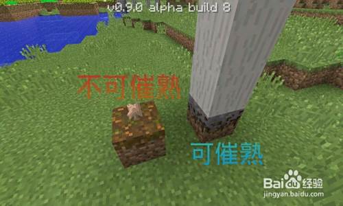Minecraft 我的世界 如何种植蘑菇 百度经验 Minecraft 我的世界 如何种植蘑菇 百度经验