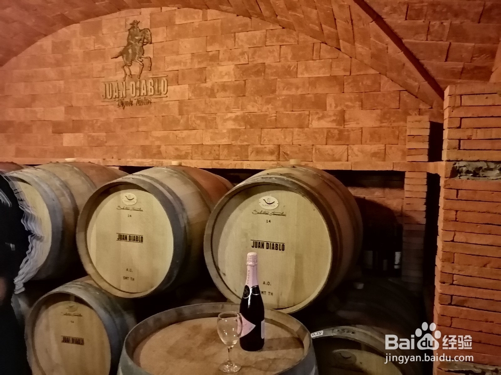 玻利维亚塔里哈市旅游攻略:红酒文化之旅