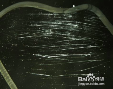 玻璃划痕修复最佳方法