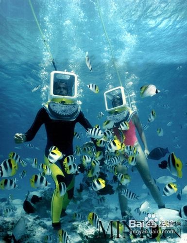 温暖瞬间约会大溪地