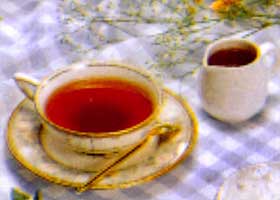 电脑族喝什么茶好