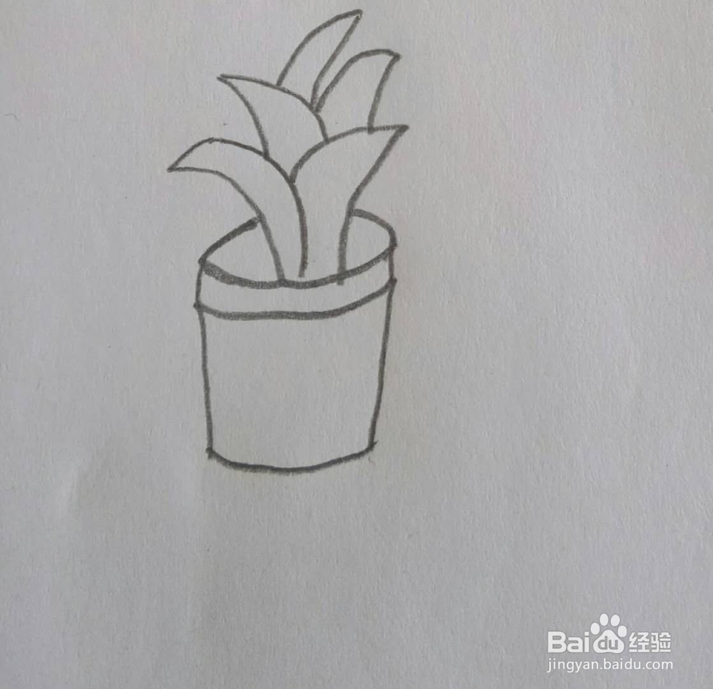 教你画简笔画小草画法10