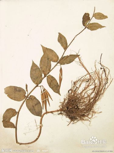 膝关节炎的治疗