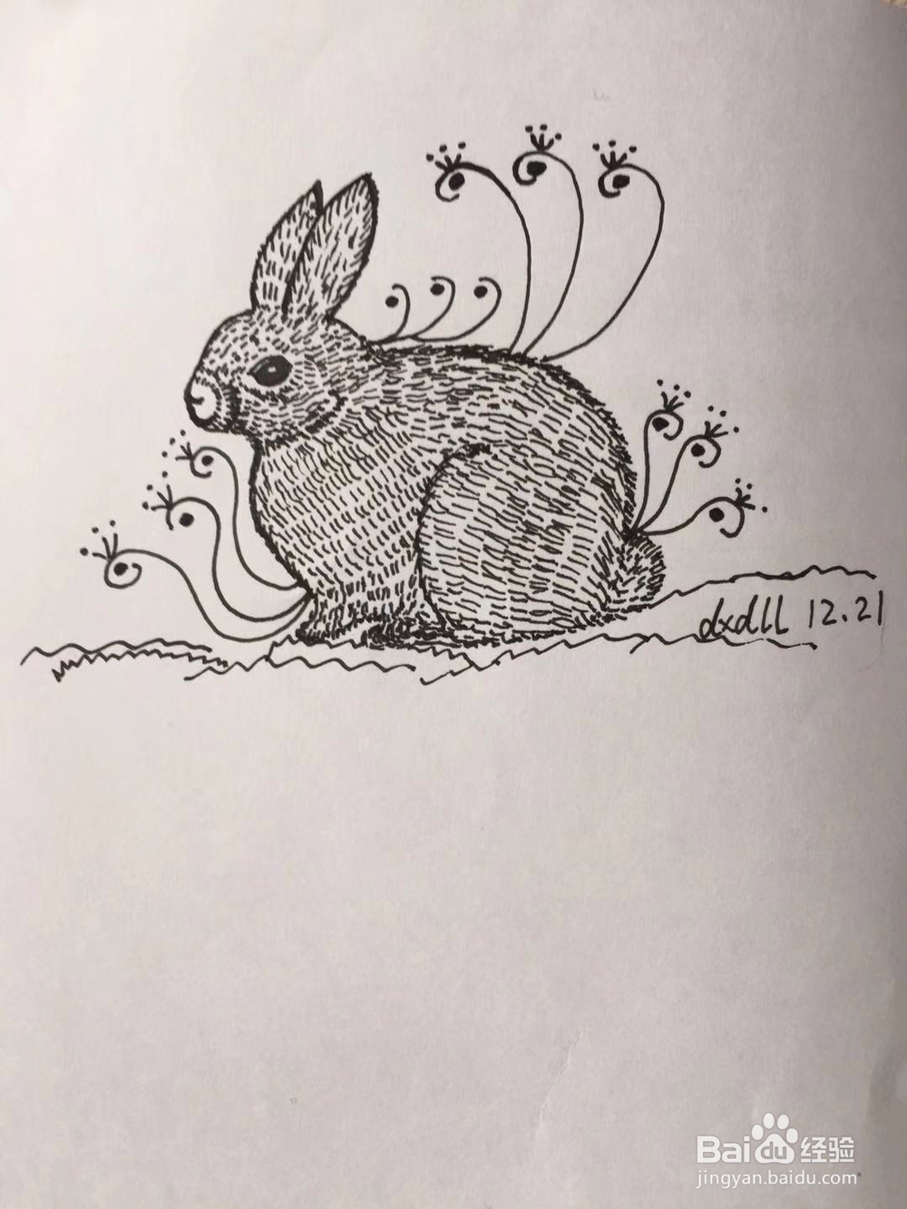 茉莉手绘之兔子