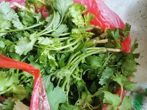 食补养生芹菜猪肉馅水饺的做法