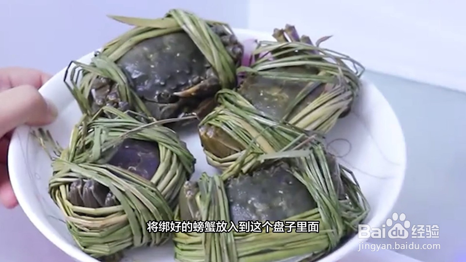 活螃蟹如何保存