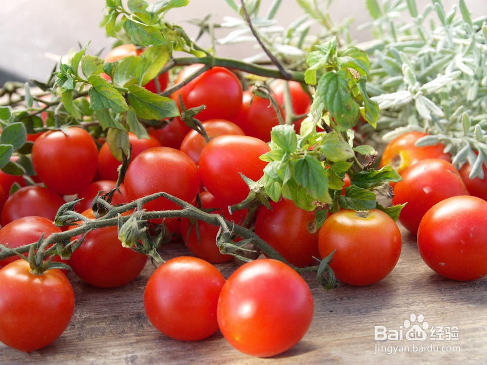 防晒效果比防晒霜还好的水果