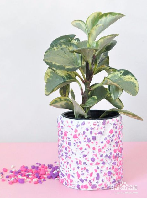 怎么做艺术花盆