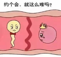 ​备孕吃什么水果？