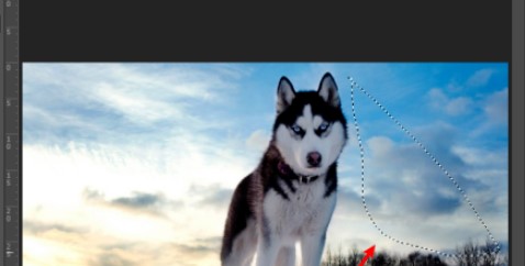 Ps怎么局部填充