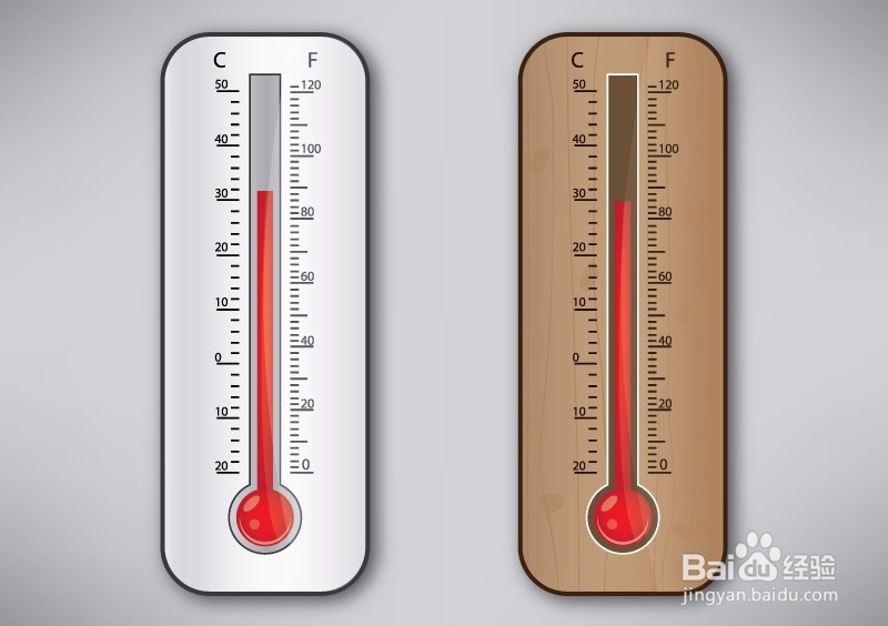 室内如何养好发财树