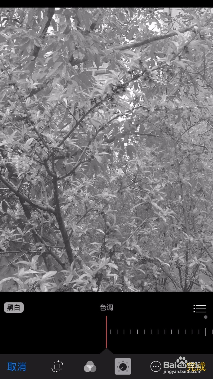 苹果手机把照片变成黑白艺术照的5个方法