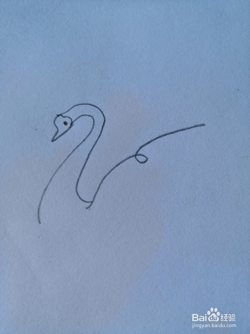 如何画天鹅简笔画