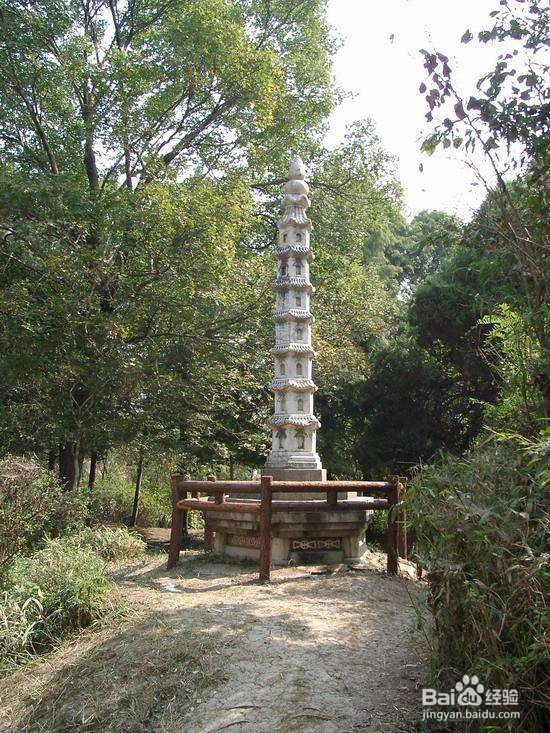 阜阳市必游的六大景点？